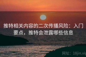 推特相关内容的二次传播风险：入门要点，推特会泄露哪些信息