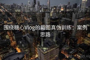 围绕糖心Vlog的截图真伪训练：案例思路