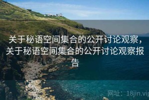 关于秘语空间集合的公开讨论观察，关于秘语空间集合的公开讨论观察报告