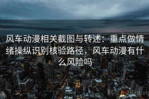 风车动漫相关截图与转述：重点做情绪操纵识别核验路径，风车动漫有什么风险吗
