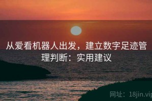 从爱看机器人出发，建立数字足迹管理判断：实用建议