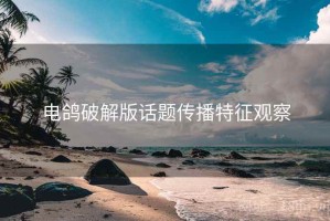 电鸽破解版话题传播特征观察