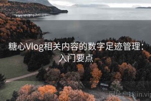 糖心Vlog相关内容的数字足迹管理：入门要点