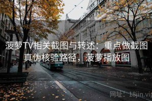 菠萝TV相关截图与转述：重点做截图真伪核验路径，菠萝播放图