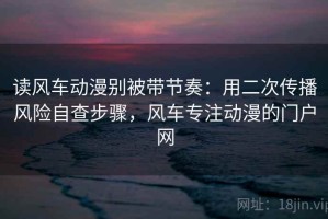 读风车动漫别被带节奏：用二次传播风险自查步骤，风车专注动漫的门户网