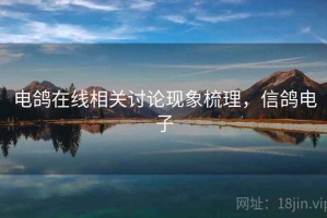 电鸽在线相关讨论现象梳理，信鸽电子