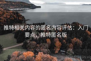 推特相关内容的匿名内容评估：入门要点，推特匿名版