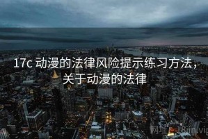 17c 动漫的法律风险提示练习方法，关于动漫的法律
