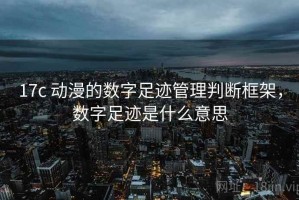17c 动漫的数字足迹管理判断框架，数字足迹是什么意思
