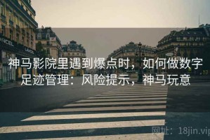 神马影院里遇到爆点时，如何做数字足迹管理：风险提示，神马玩意