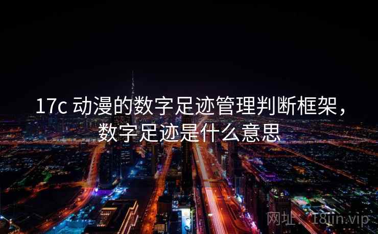17c 动漫的数字足迹管理判断框架，数字足迹是什么意思