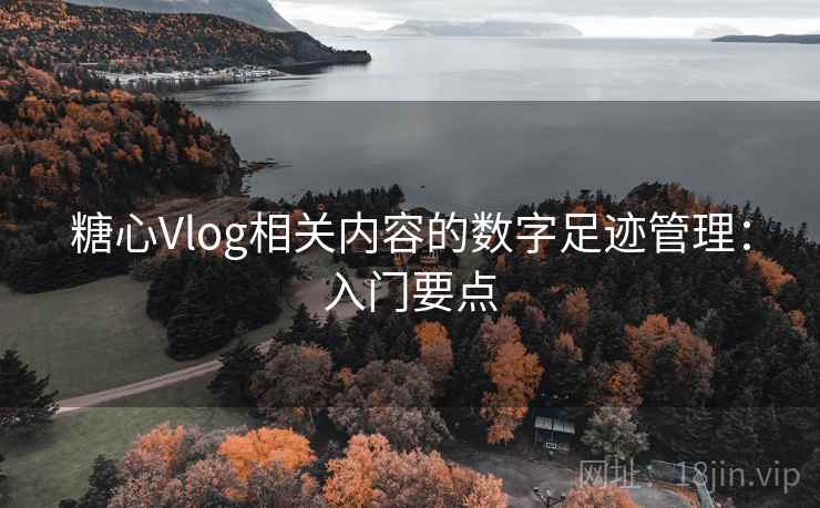 糖心Vlog相关内容的数字足迹管理：入门要点