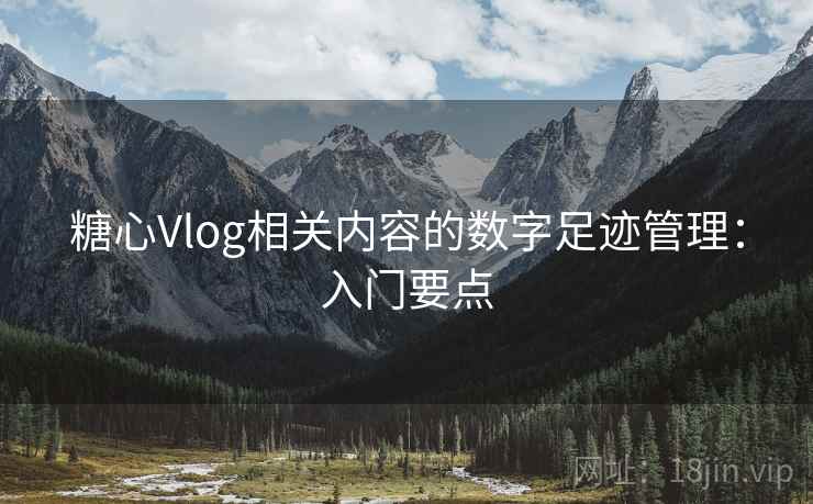 糖心Vlog相关内容的数字足迹管理：入门要点