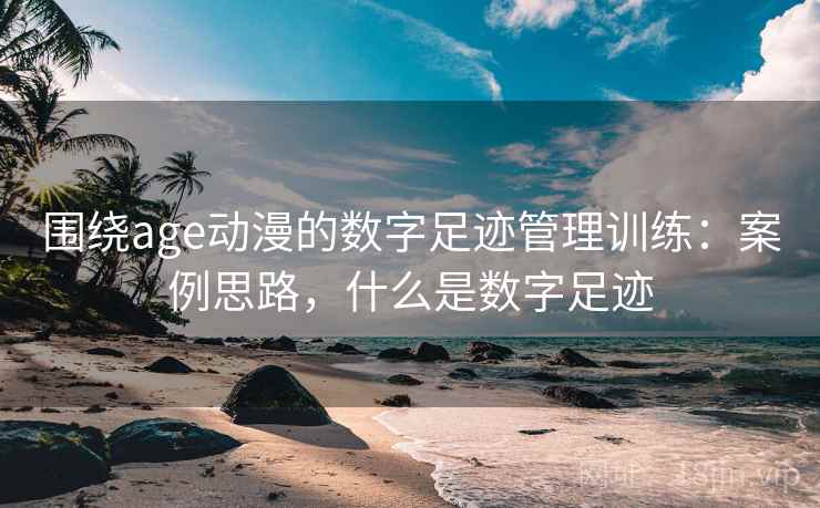 围绕age动漫的数字足迹管理训练：案例思路，什么是数字足迹