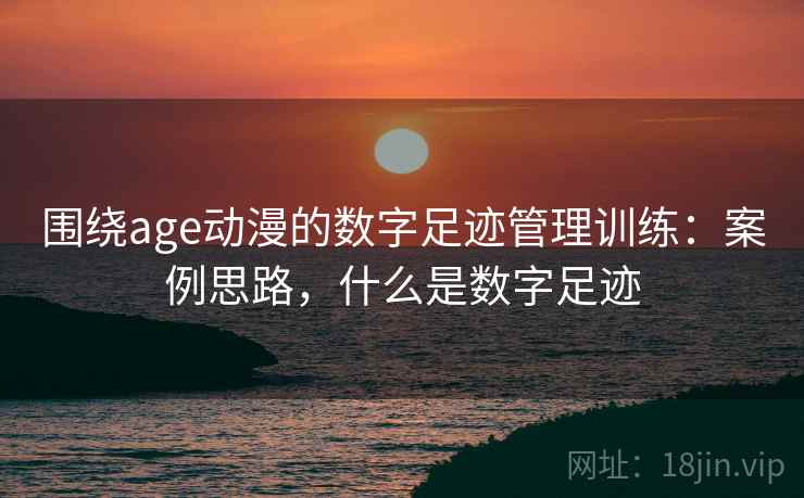 围绕age动漫的数字足迹管理训练：案例思路，什么是数字足迹