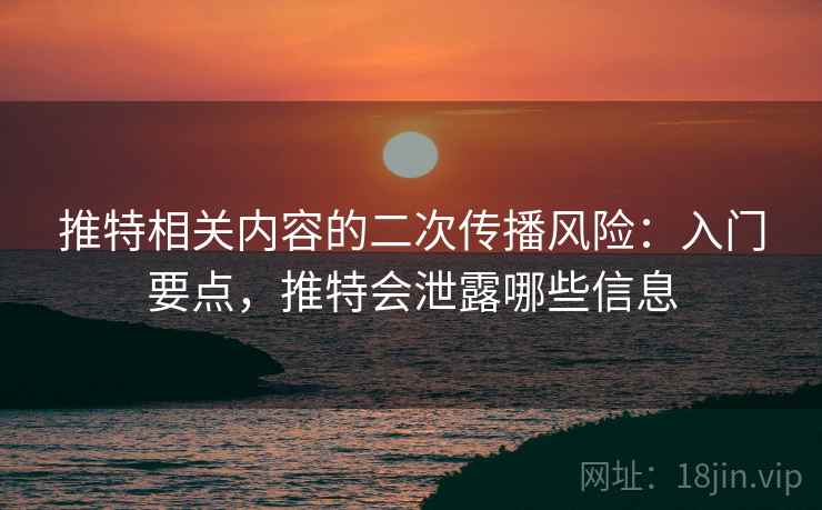 推特相关内容的二次传播风险:入门要点,推特会泄露哪些信息 推特相关内容的二次传播风险:入门要点,推特会泄露哪些信息