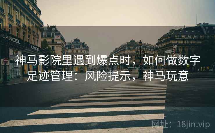 神马影院里遇到爆点时，如何做数字足迹管理：风险提示，神马玩意