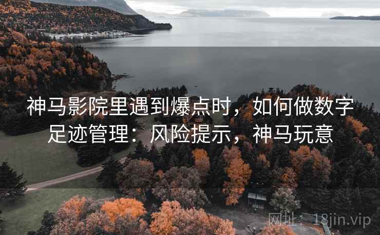 神马影院里遇到爆点时，如何做数字足迹管理：风险提示，神马玩意